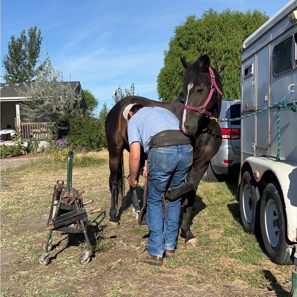 NEW💕 Fringe Horseshoe Decor - Picture 3 of 4